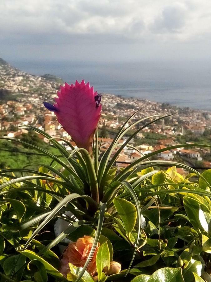 La Chambre De Ker Briac Funchal  Exterior photo